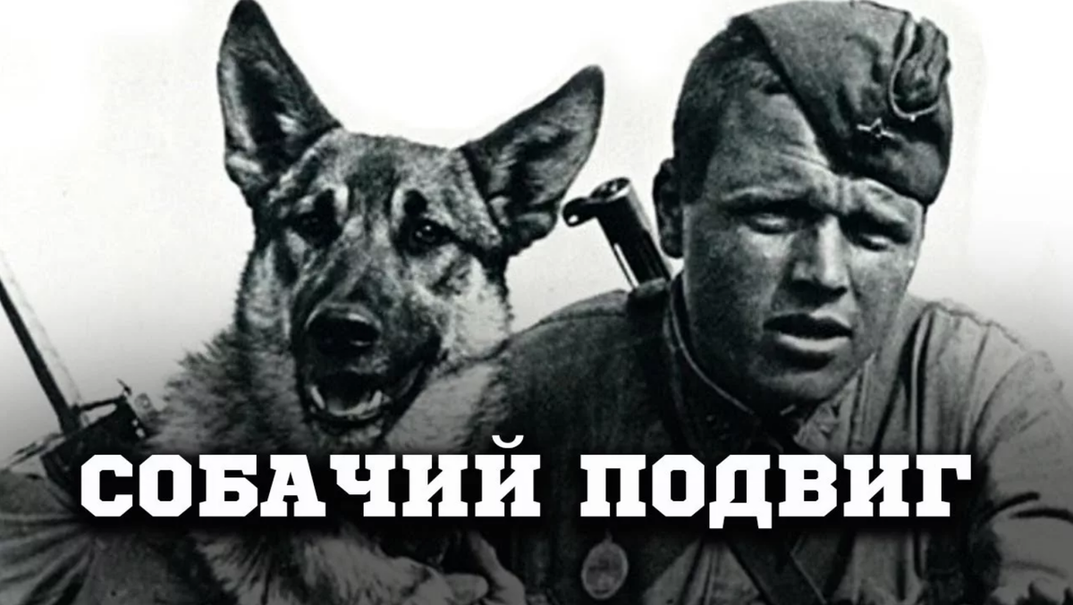 Источник: Яндекс картинки