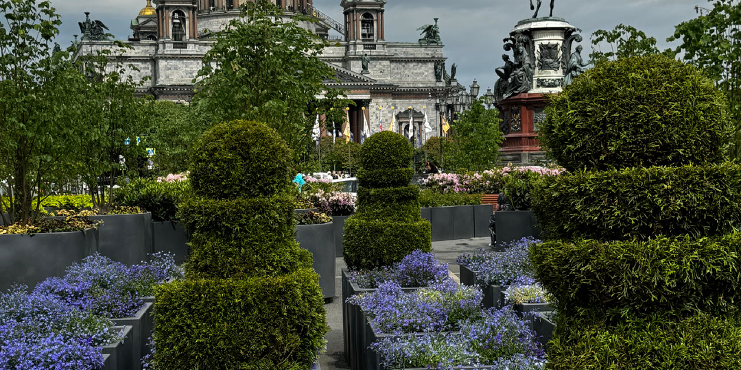 реальные советы для тех, кто переезжает в Питер