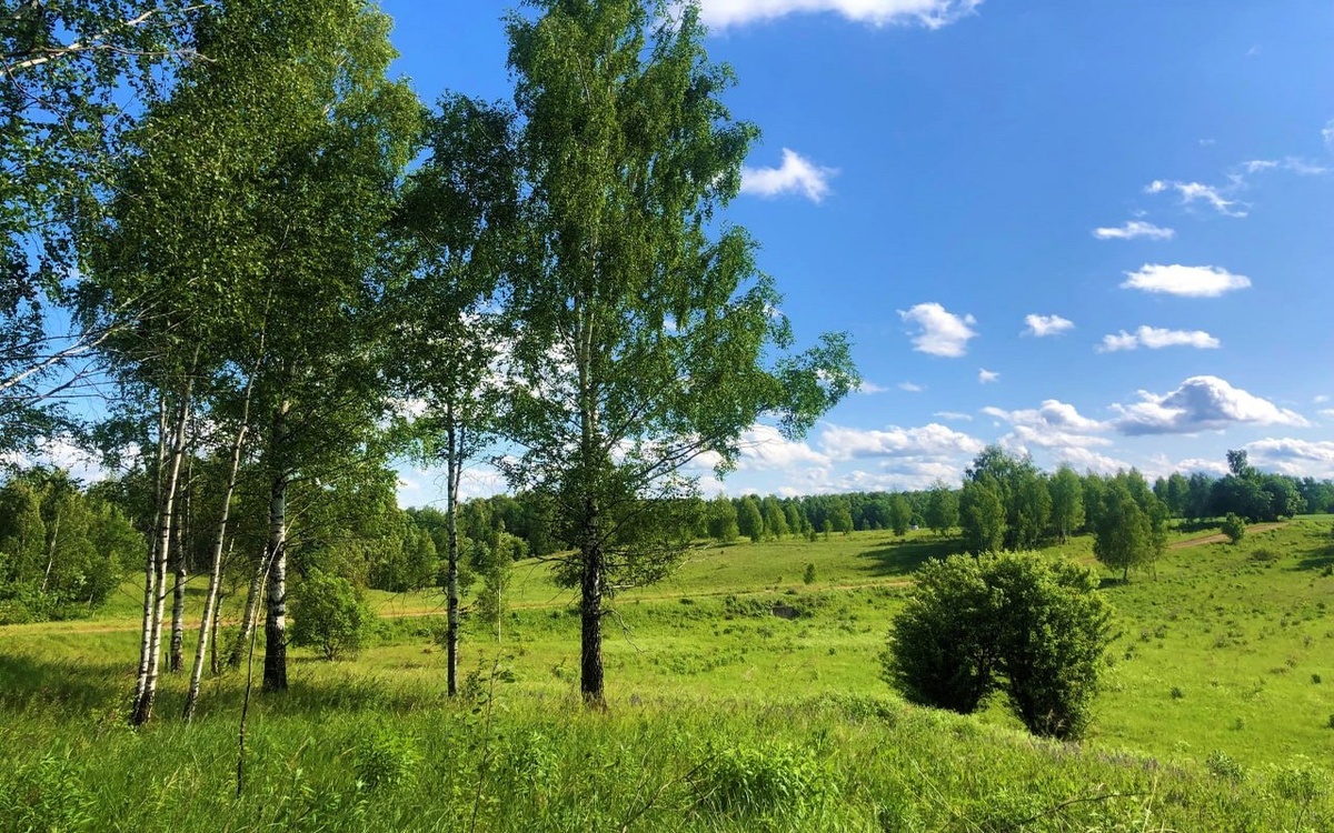   В Курск возвращается солнышко — ненадолго