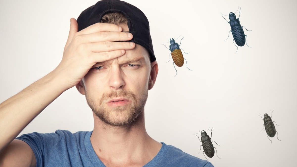 Что я наделал