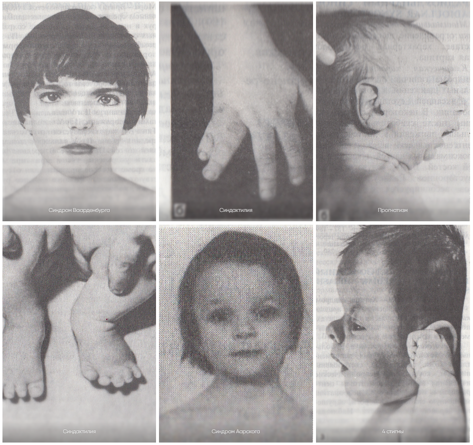 Картинка из интернета