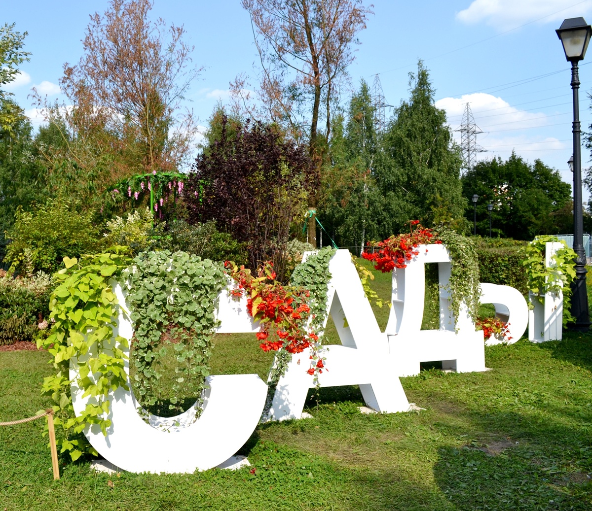 Москва, Царицыно. Все фото в статье с Фестиваля садов 2024 года. Фото автора