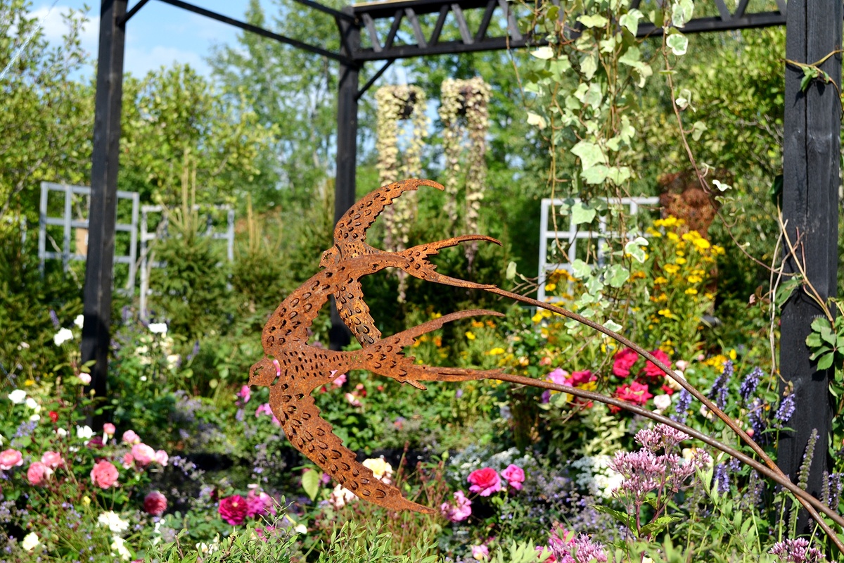 Фото автора