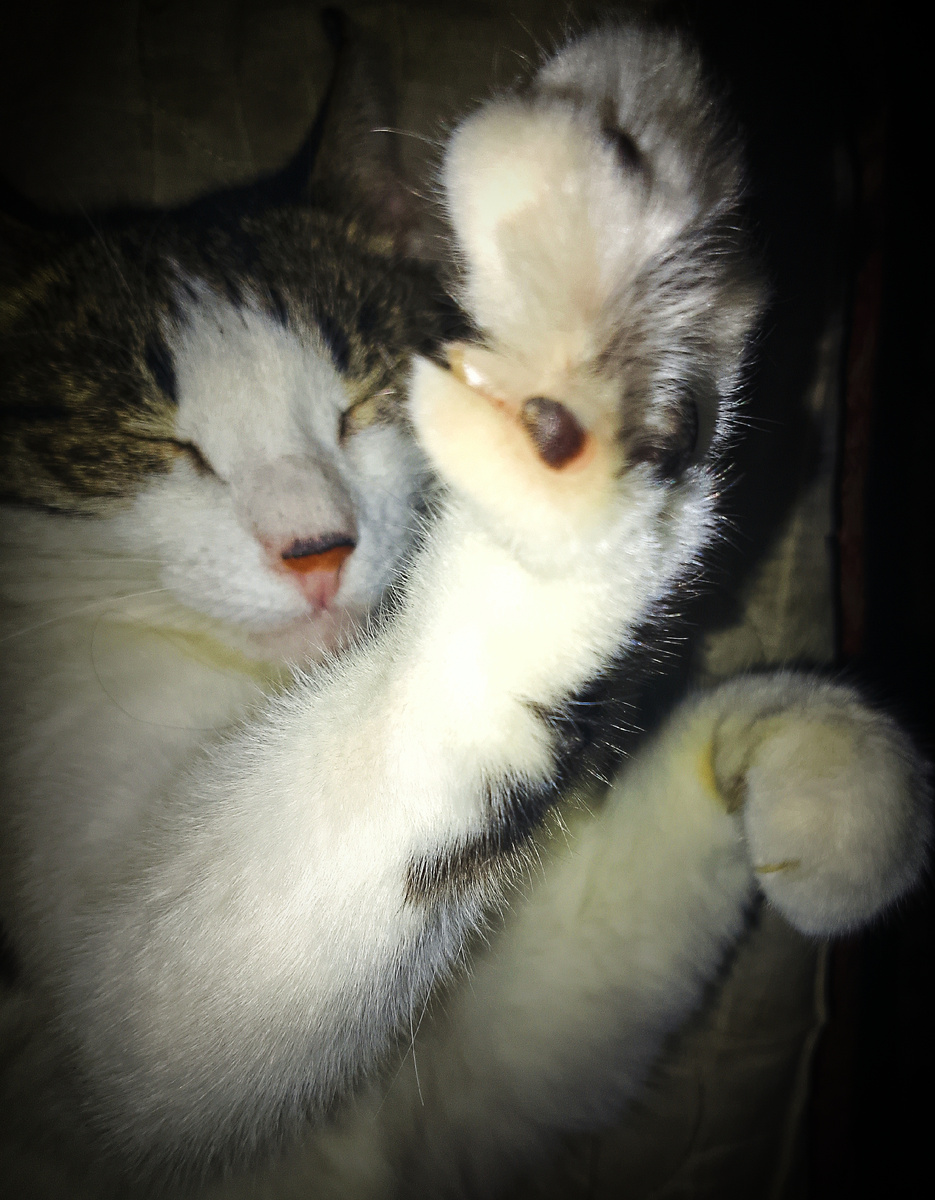 Фото автора