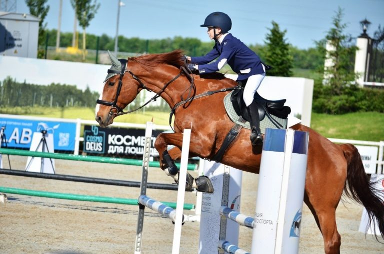    В Оренбурге прошли соревнования по конному спорту «Кубок дружбы регионов» Антон Пичурин