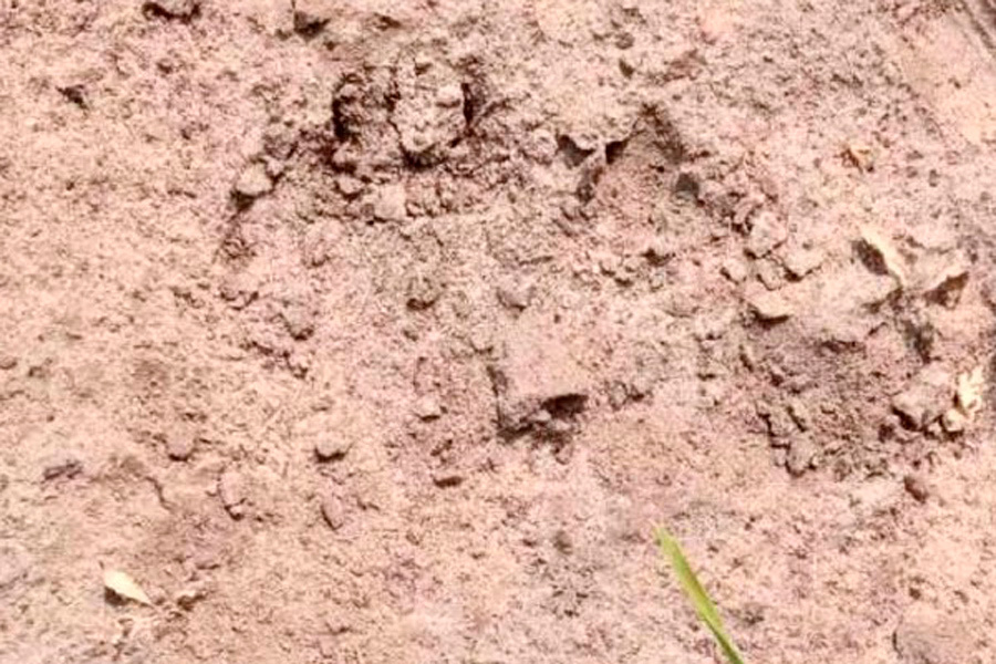    Фото: "Пул 4 регион" / Telegram