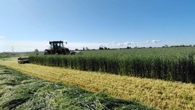 Фото: глава администрации Лужского района Юрий Намлиев