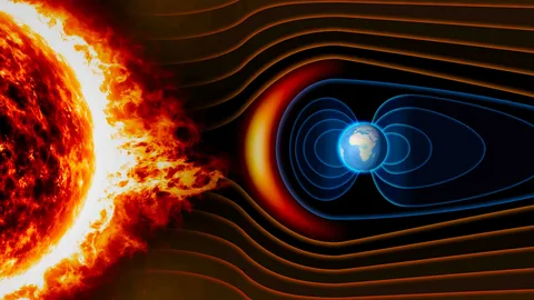 изображение из открытых источников