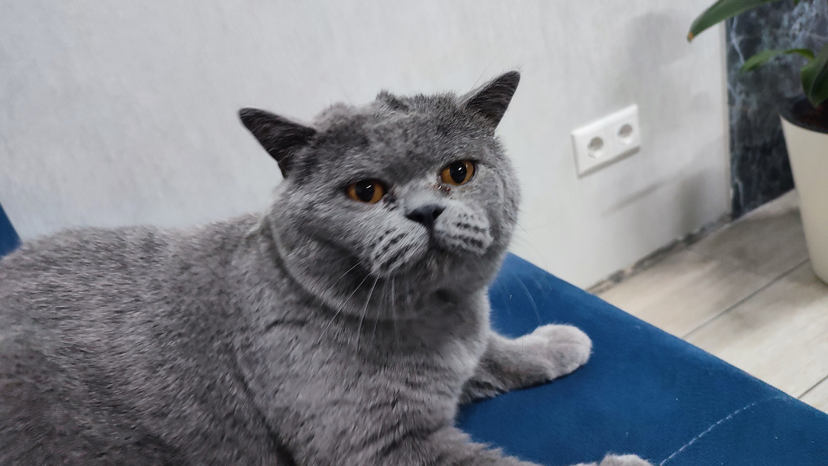 Это мы играли, и я его взъерошила