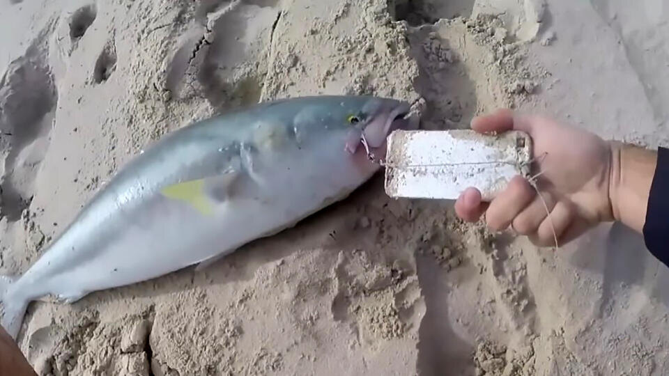 Фото: © Кадр из программы "Купи-продай", РЕН ТВ