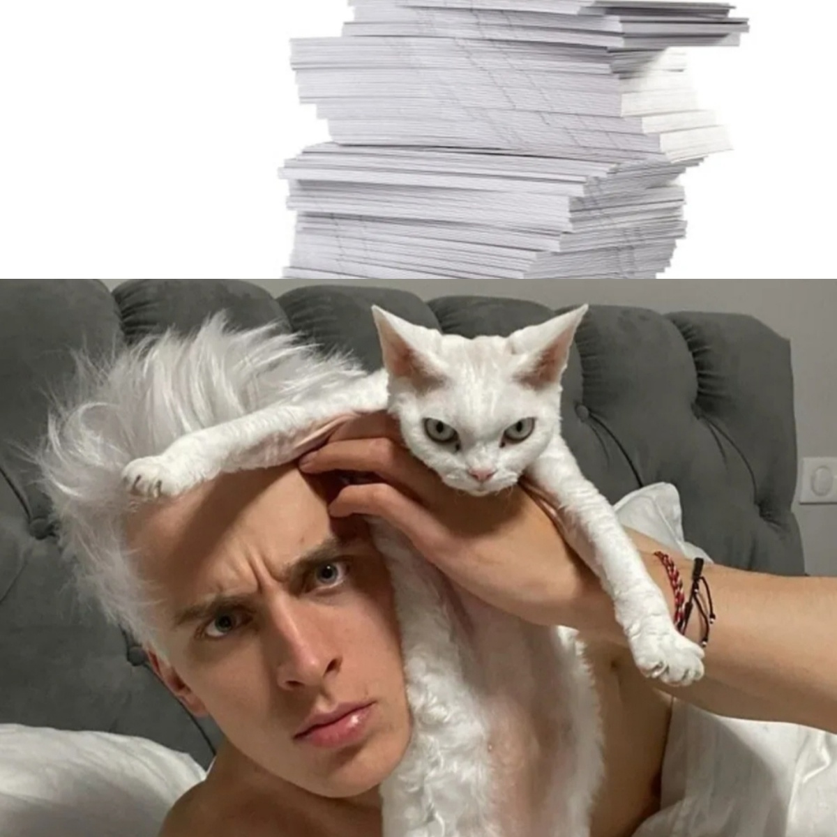 Влад, бумага, котик. Авторский коллаж.