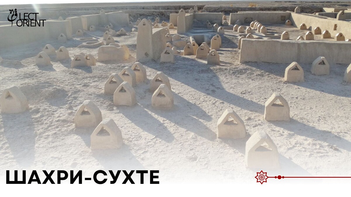 Фото взято из фотостока Canva