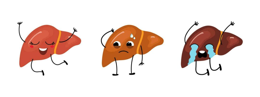 Как люди узнают, что у них цирроз?