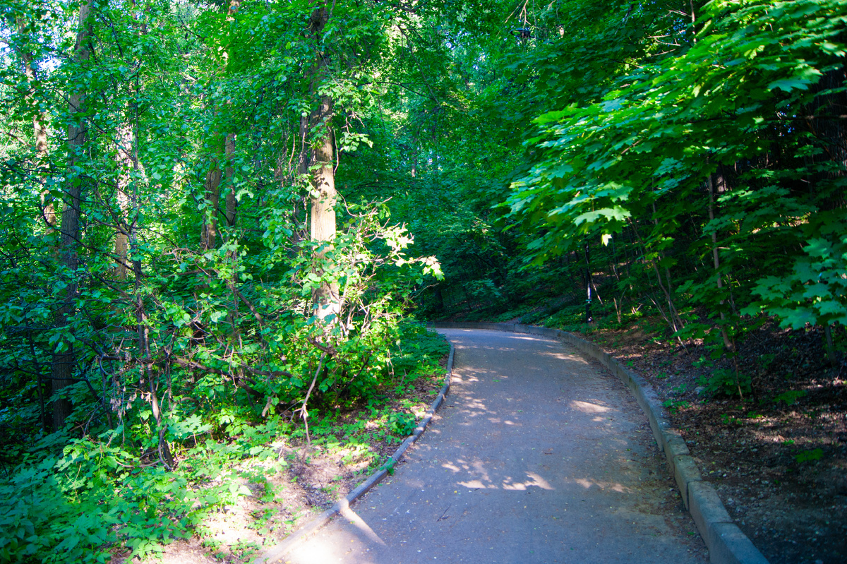 Склон Воробьёвых гор.