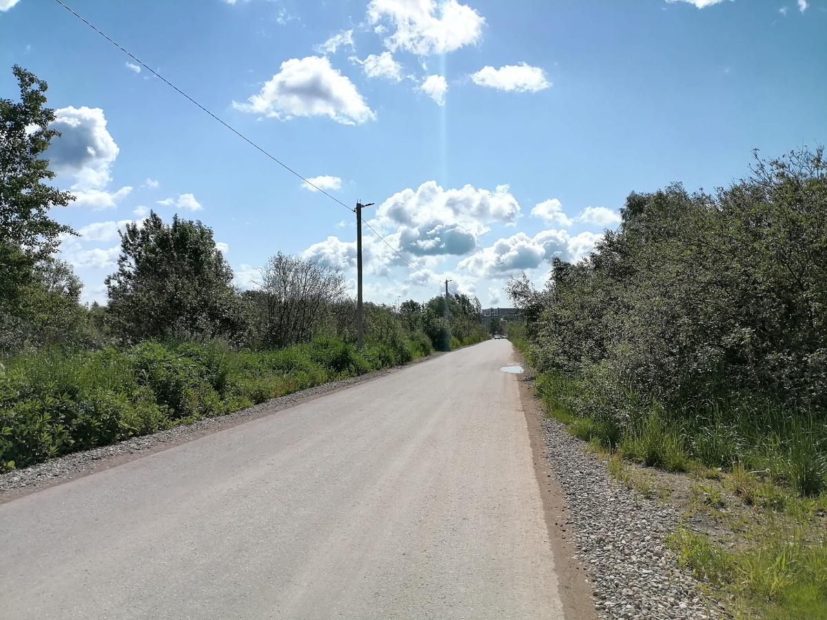 © Copyright: Максим Вячеславович Гуреев, фото