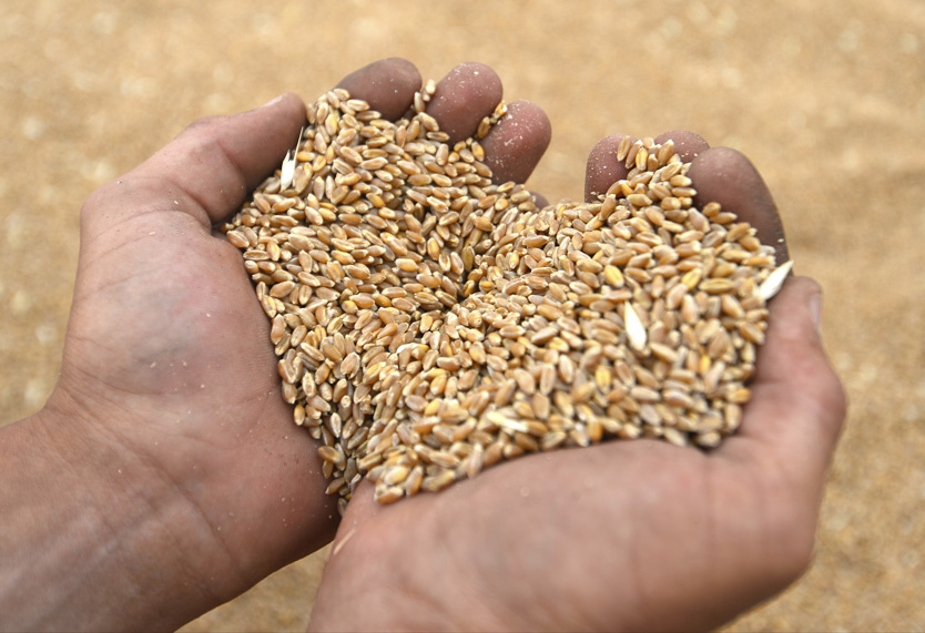 Фото обложки: Дмитрий Рогулин / ТАСС