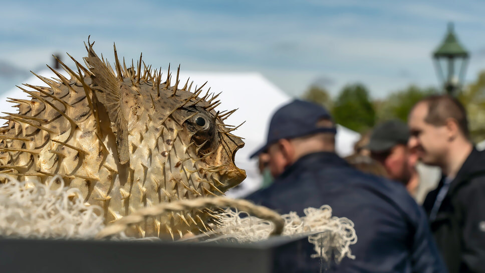 Фото: Михаил Богородский / Коммерсантъ