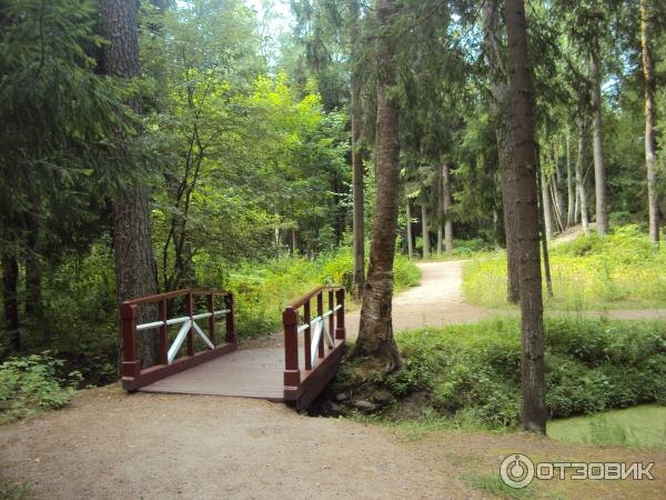 Фото из открытых источников сети Интернет 