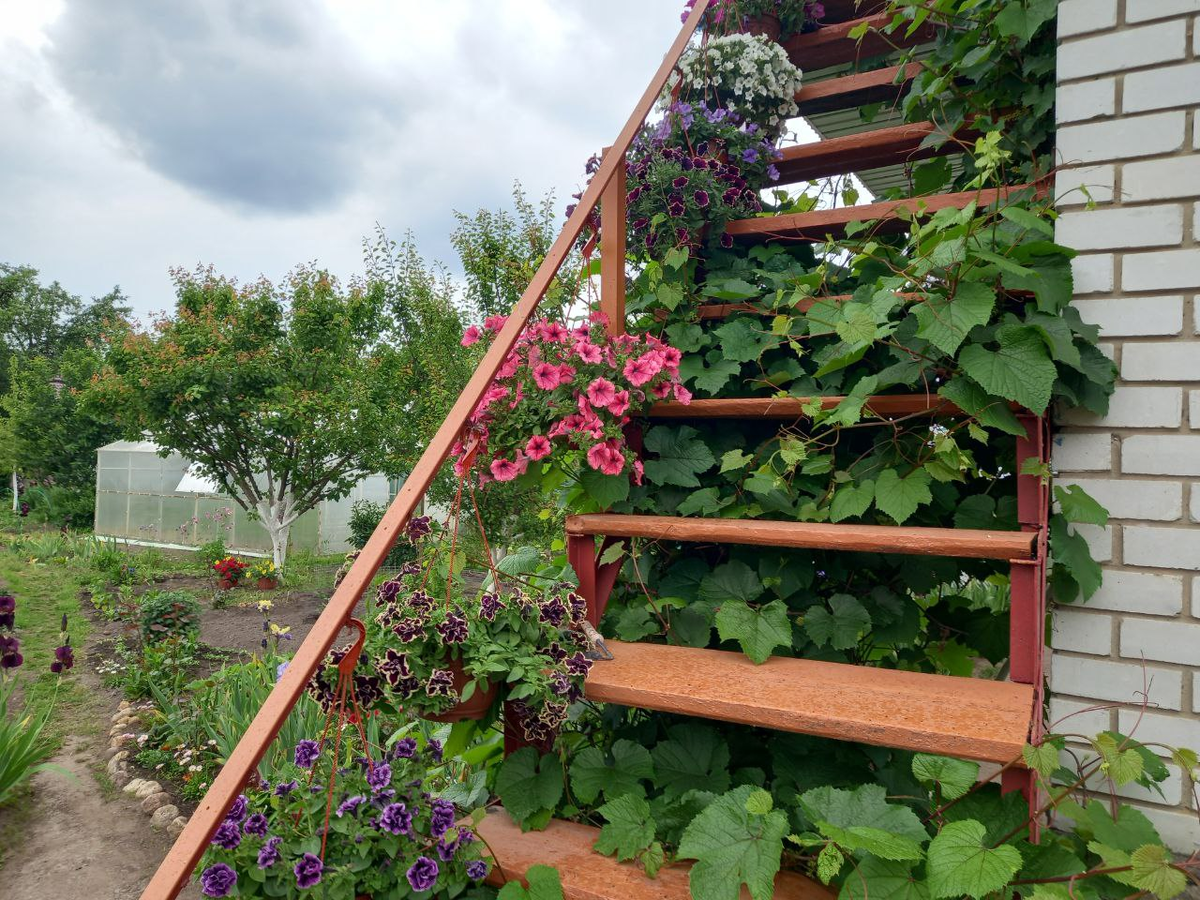 Моя лестница на второй летний этаж.