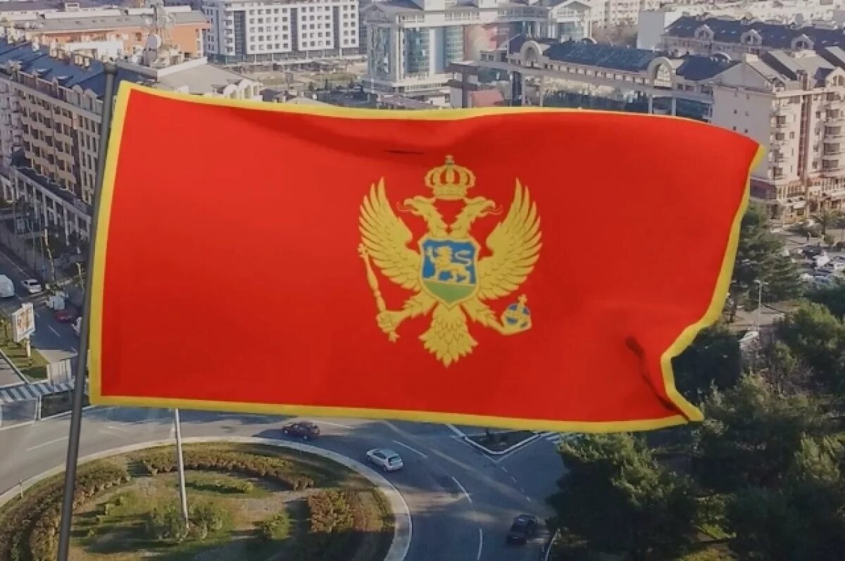    Правительство Черногории одобрило производство БПЛА для передачи Киеву