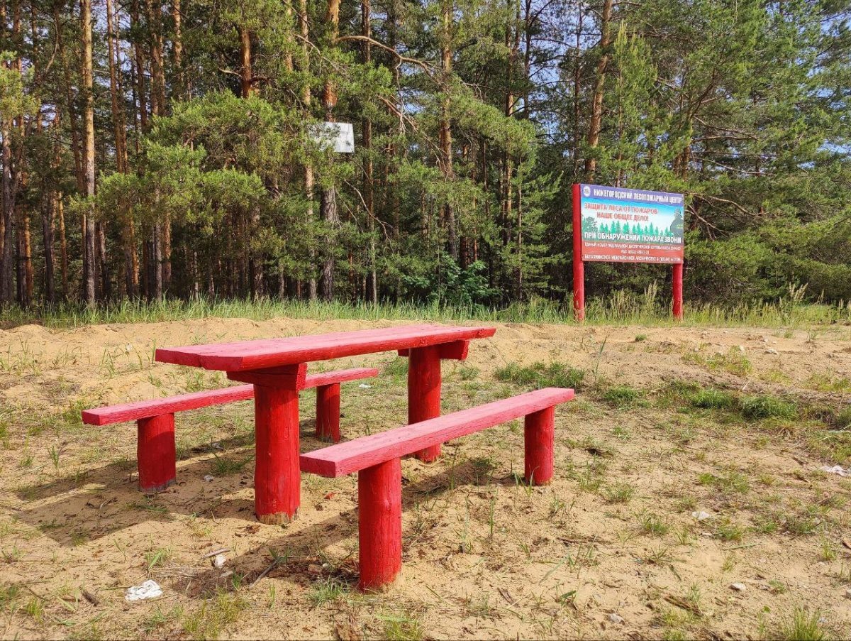    Более трех тысяч мест отдыха для граждан обустроено в нижегородских лесах