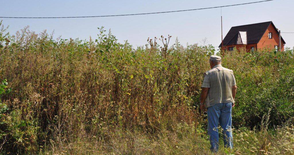 Названы критерии для изъятия земельных участков у собственников