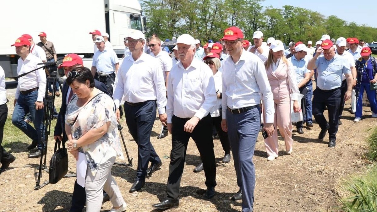     Источник: dumask.ru