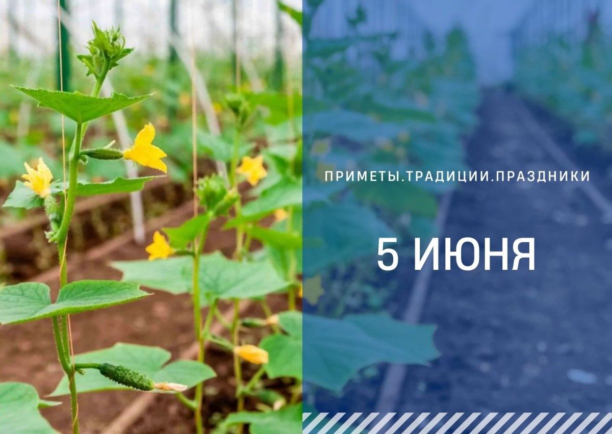   ГТРК "Ставрополье"