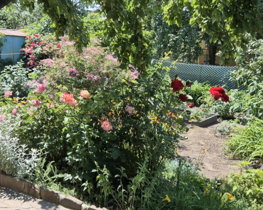 Фото автора