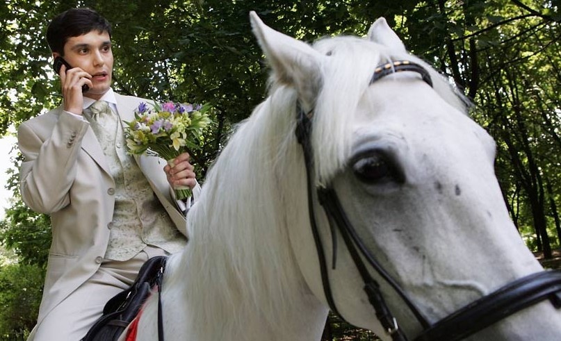 Куда мне лошадь припарковать