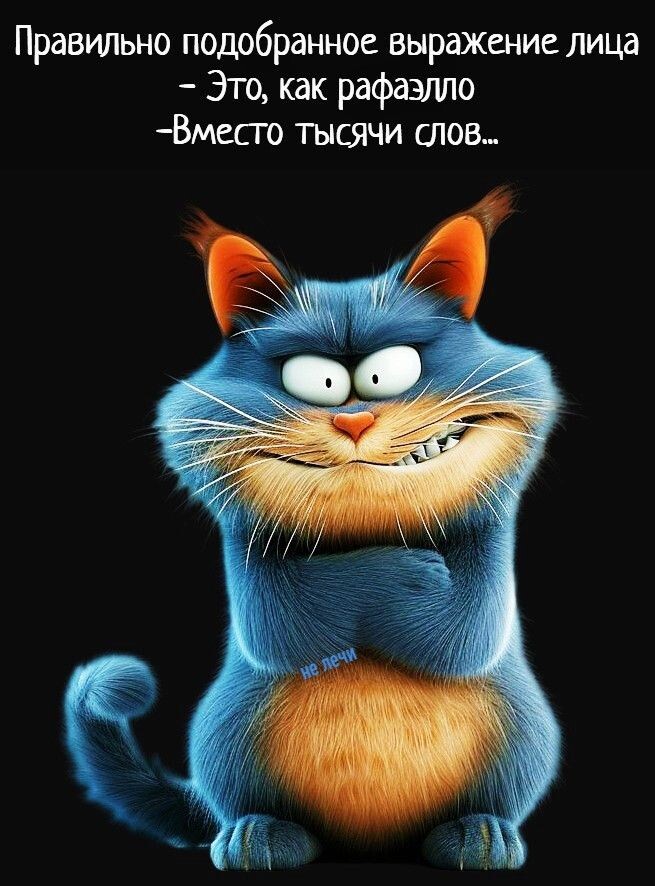 Фото из интернета.