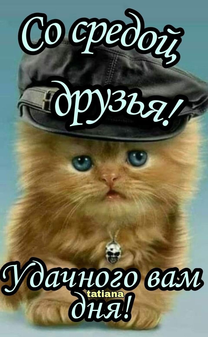 Фото из интернета.