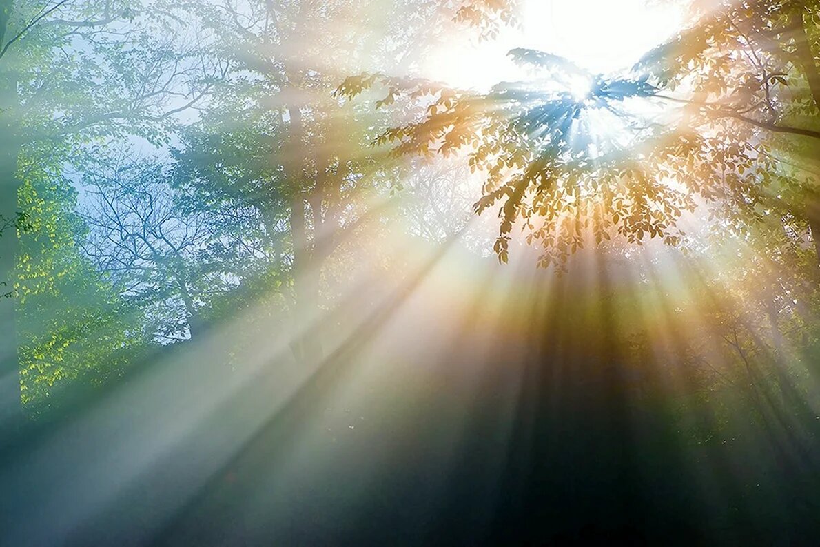 Невидимые шнуры воли в энергетическом поле