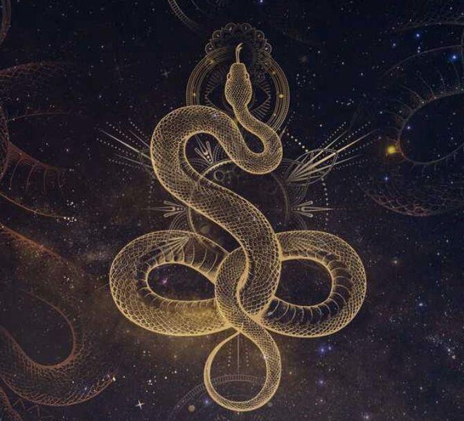 Змея в китайской мифологии является носителем иньского, женского принципа.