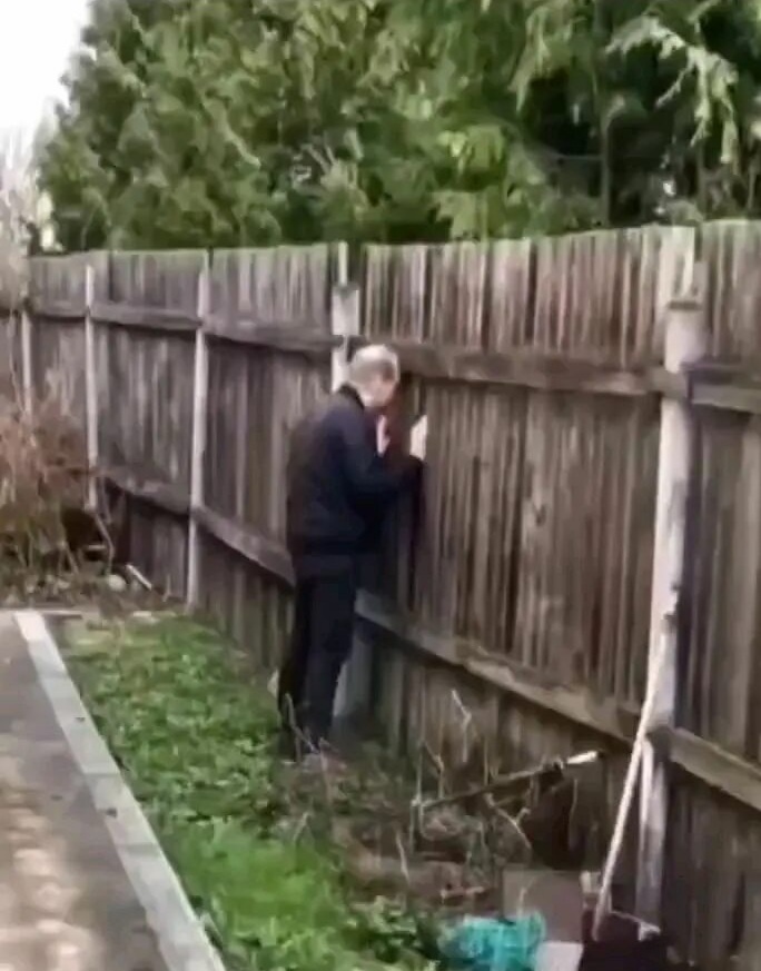 Фото взято из открытых источников 