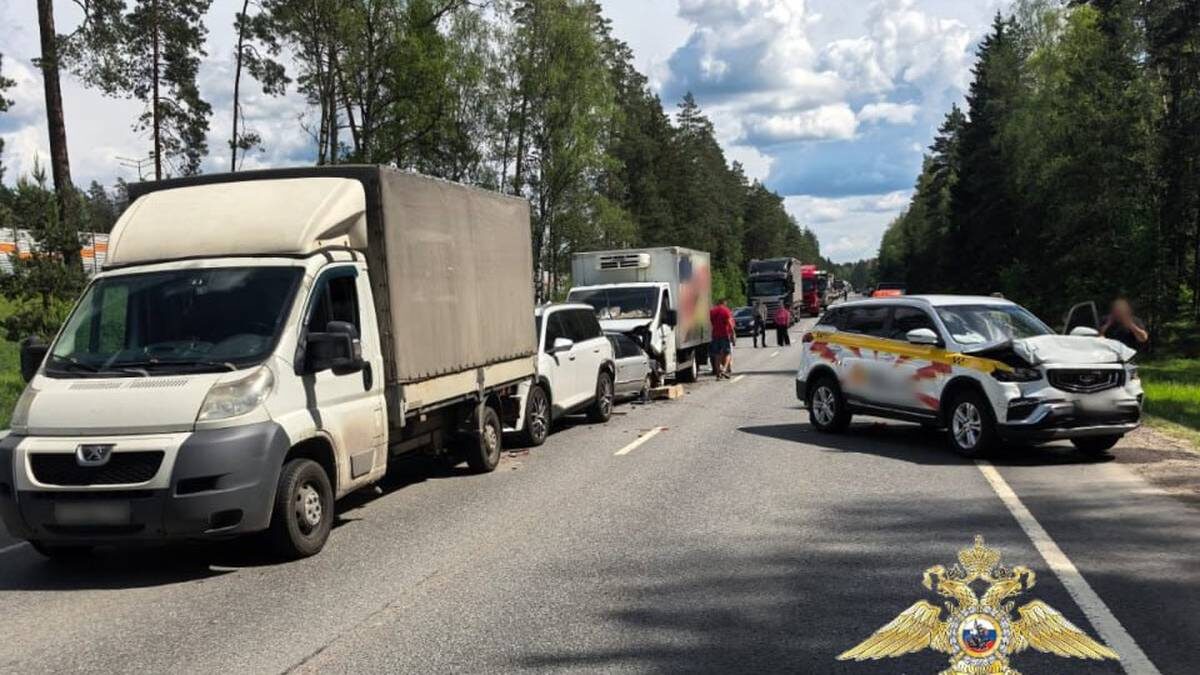    Фото: пресс-служба ГУ МВД России по Московской области / Telegram