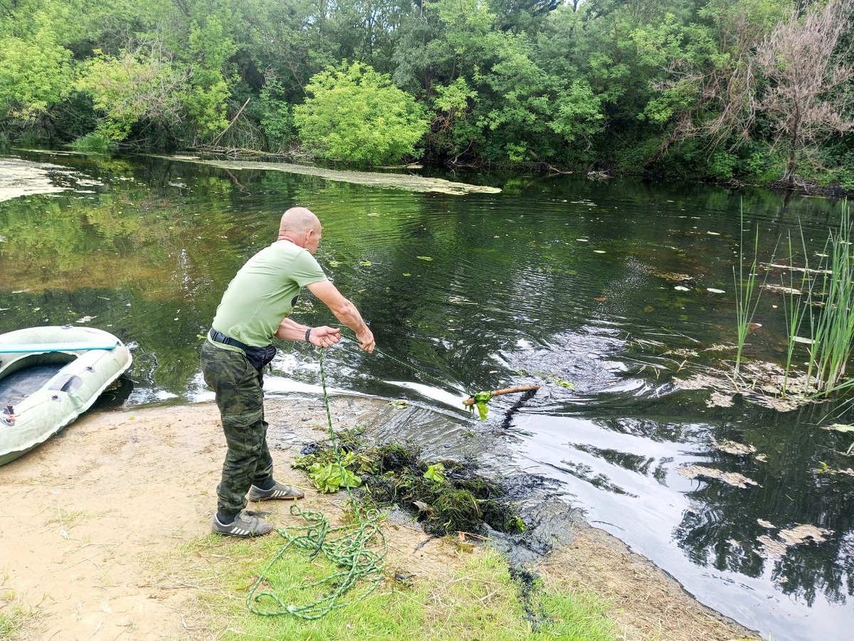    "Вода России" в Курской области: в Касторенском районе очистили пруд и Березовую рощу