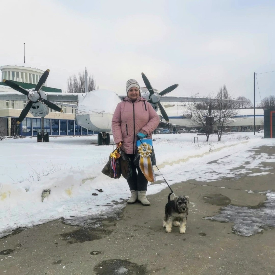 Начало было положено. Впереди нас ждала выставочная карьера, обучение обязательным навыкам городской собаки, встреча с новыми друзьями и  посещение новых мест. 