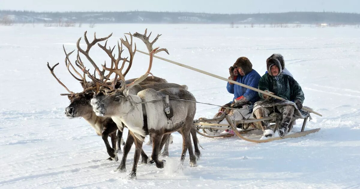 © РИА Новости Сергей Русанов
