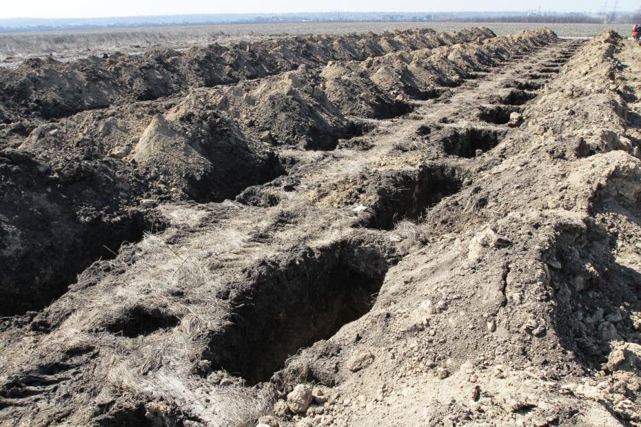    Mykola Myalshykov/Keystone Press Agency/Global Look Press