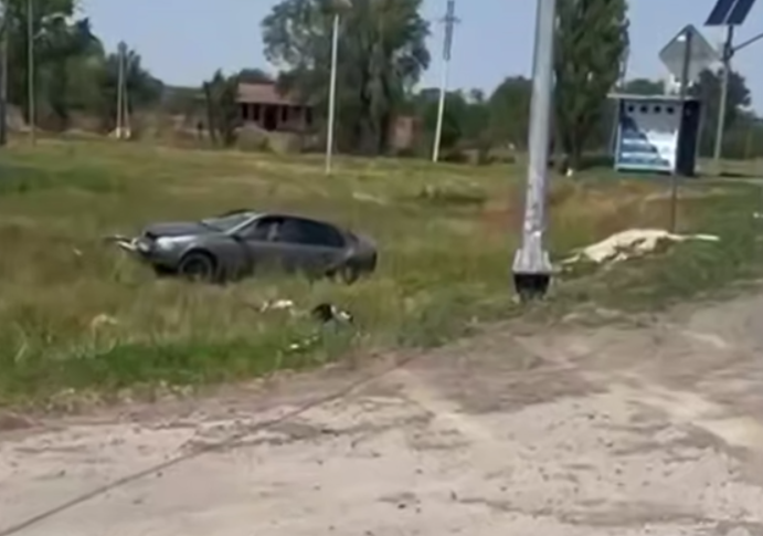    фото Управления ГАИ по РО Редактор