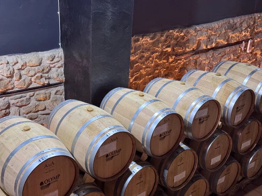    Фото: Екатерина Мухамедова/BFM Кубань