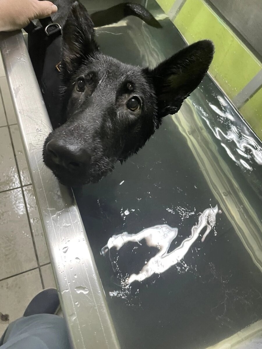 Юна усердно работает каждый день