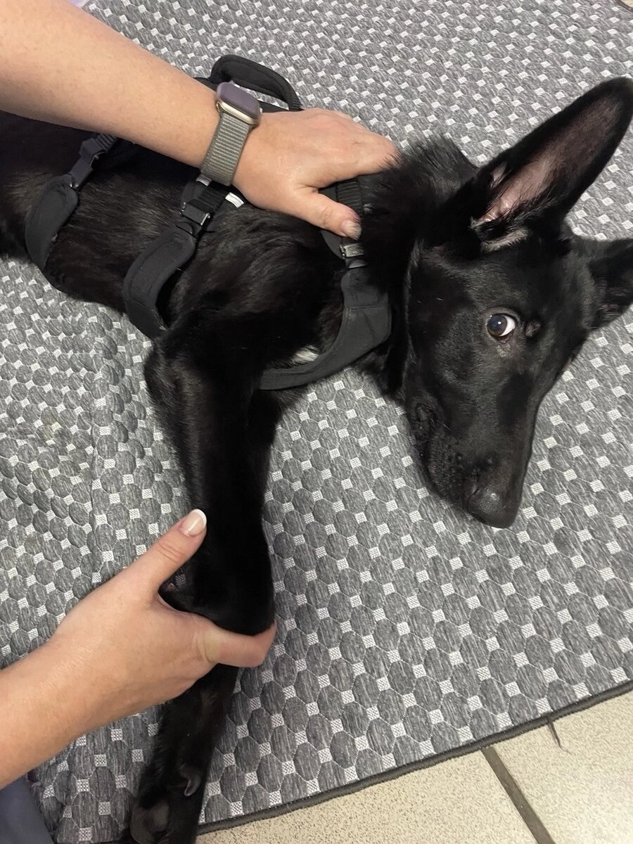 Мы всё надеемся на чудо