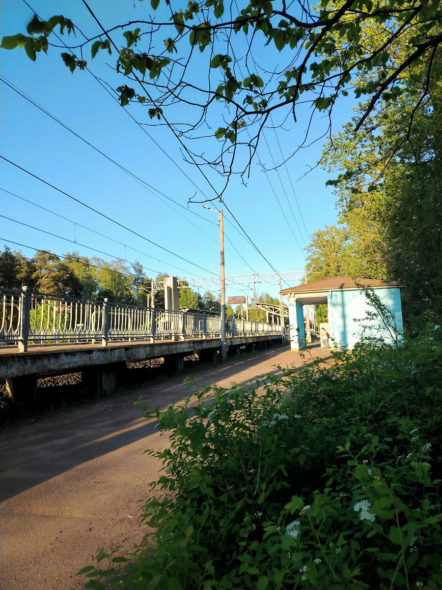 Станция Комарово. Фото автора.