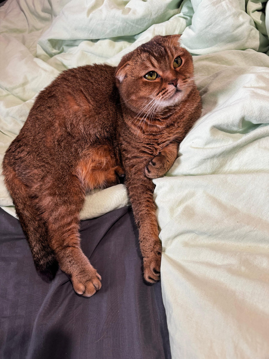 Мэй Ли (из личного архива)