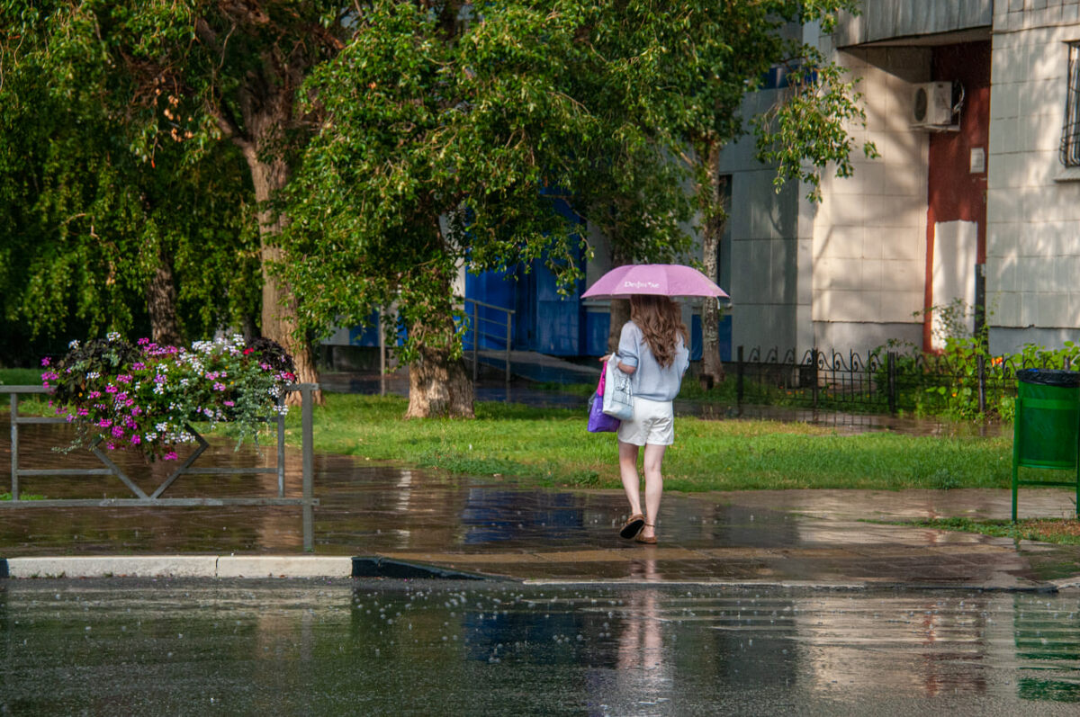 На область могут обрушиться ливни, грозы и сильный ветер.  Фото: Фото: ФедералПресс / Светлана Возмилова