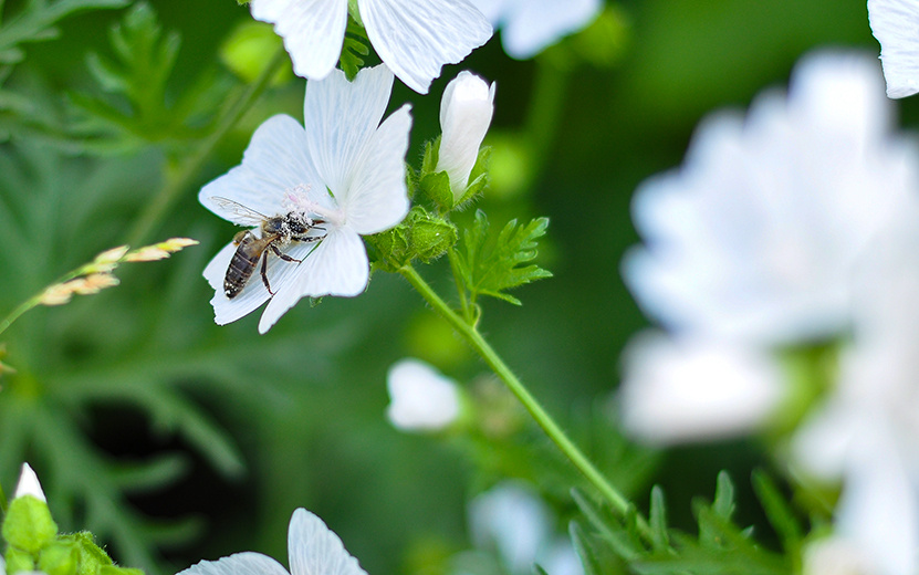    Погода в Ижевске на день: 5 июня ждем небольшие дожди и до +23°С