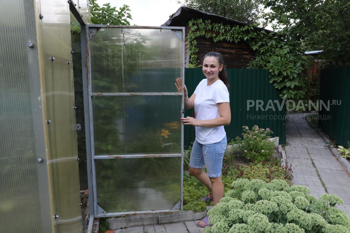    В жаркую погоду теплицы нужно обязательно проветривать