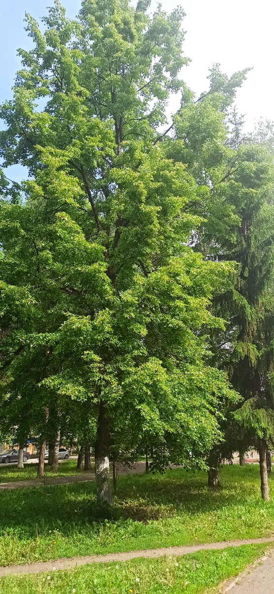 Люблю "зарядиться" энергией перед работой. 